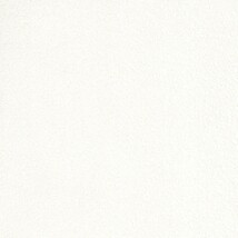 ホワイト  塗り壁調   抗ウィルス 抗菌 防かび  リリカラ LL-6890 旧品番LL-7950