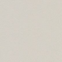 ライトグレー  塗り壁調   抗ウィルス 抗菌 防かび  リリカラ LL-6891 旧品番LL-7952