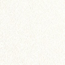 ホワイト  塗り壁調   通気性 透湿性 防かび  リリカラ LL-6898 旧品番LL-7570