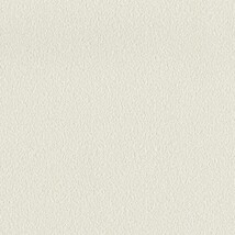 ライトグレー  塗り壁調   調湿効果 防かび  リリカラ LL-6905 旧品番LL-7585