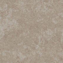 グレー  コンクリート・モルタル   防かび  リリカラ LLA-6059 