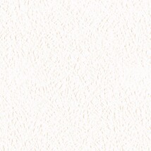 ホワイト  塗り壁調   防かび  リリカラ LV3198