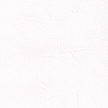 ホワイト  塗り壁調 耐クラック・トップコート  汚れ防止 抗菌 表面強化 防かび  リリカラ LV3451
