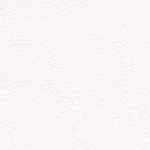 ホワイト  塗り壁調 クリーンコート  表面強化 防かび  リリカラ LV3469
