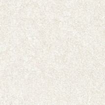シャドーホワイト  塗り壁調 トップコート  抗菌 表面強化 防かび  リリカラ LW-1025 
