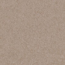 ライトブラウン  塗り壁調 トップコート  抗菌 表面強化 防かび  リリカラ LW-1076 