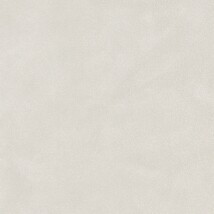 ライトグレー  コンクリート・モルタル   汚れ防止 抗菌 表面強化 防かび  リリカラ LW-1404 