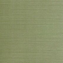 グリーン  織物調   汚れ防止 抗菌 表面強化 防かび  リリカラ LW-1473 