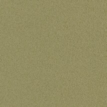 グリーン  塗り壁調 トップコート  防かび  リリカラ LW-1617 