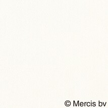ホワイト  塗り壁調 トップコート  表面強化 防かび  リリカラ LW-1710 