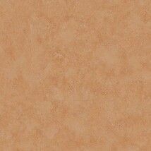 ライトブラウン テラコッタ  東リ PST4125 旧品番PST3117