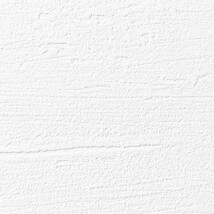 ホワイト 塗り壁調  防かび 抗菌  サンゲツ RE53018