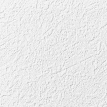 シャドーホワイト 塗り壁調  防かび 抗菌 表面強化 撥水 消臭  サンゲツ RE53055