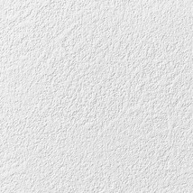 ホワイト 塗り壁調  防かび 抗菌 表面強化 撥水  サンゲツ RE53061