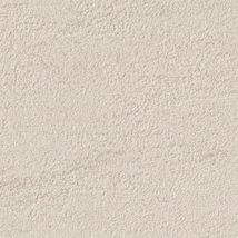 ベージュ 塗り壁調 ウレタンコート 防かび 抗菌 表面強化 撥水  サンゲツ RE53078