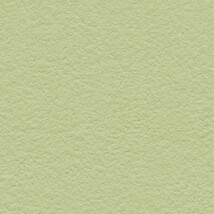 グリーン 塗り壁調  防かび 抗菌 撥水  サンゲツ RE53149