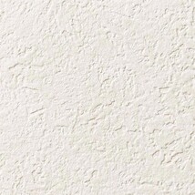 シャドーホワイト 塗り壁調 ウレタンコート 防かび 抗菌 表面強化 撥水  サンゲツ RE53180