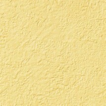 イエロー 塗り壁調 ウレタンコート 防かび 抗菌 表面強化 撥水  サンゲツ RE53182