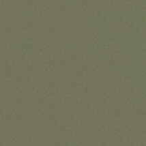 グリーン 塗り壁調  防かび 抗菌  サンゲツ RE53193