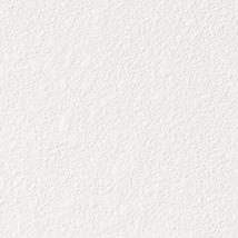 ホワイト 塗り壁調  調湿効果 防かび  サンゲツ RE53429