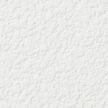 ホワイト 塗り壁調  防かび  サンゲツ RE53642