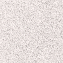 シャドーホワイト 塗り壁調  防かび 抗菌 表面強化 撥水 消臭  サンゲツ RE53649