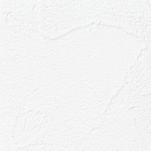 ホワイト 塗り壁調 スーパー耐久性 汚れ防止 耐久 抗菌 表面強化 防かび  サンゲツ RE53729