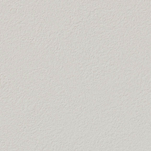 ベージュ 塗り壁調  調湿効果 防かび  サンゲツ RE53830