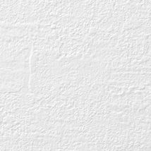ホワイト 塗り壁調  防かび  サンゲツ RE53860