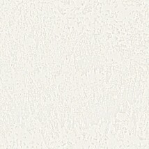 ホワイト 塗り壁調  防かび 抗菌 表面強化 撥水  サンゲツ RE55001 