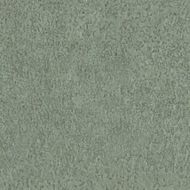 グリーン 塗り壁調  防かび 抗菌 表面強化 撥水  サンゲツ RE55005 