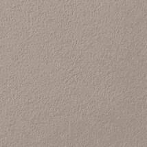 ブラウン 塗り壁調  防かび 抗菌 撥水  サンゲツ RE55039 旧品番RE53150