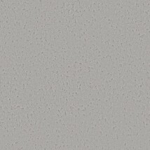 ライトグレー 塗り壁調  防かび 抗菌 撥水  サンゲツ RE55058 