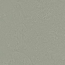 ブラウン 塗り壁調  防かび 抗菌 表面強化 撥水  サンゲツ RE55093 