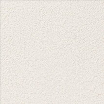 シャドーホワイト 塗り壁調  防かび 抗菌  サンゲツ RE55174 旧品番RE53072