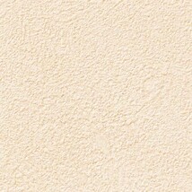 ベージュ 塗り壁調  防かび 抗菌  サンゲツ RE55175 旧品番RE53073