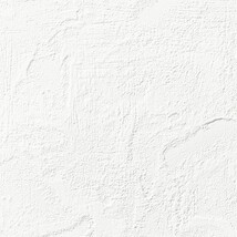 ホワイト 塗り壁調  防かび 抗菌 表面強化 撥水  サンゲツ RE55192 旧品番RE53084