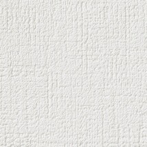 ホワイト 塗り壁調  防かび 抗菌  サンゲツ RE55206 旧品番RE53440
