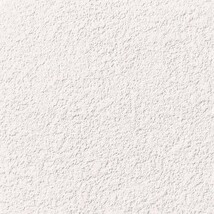 ライトアイボリー 塗り壁調  防かび 抗菌 表面強化 撥水 消臭  サンゲツ RE55242 旧品番RE53651