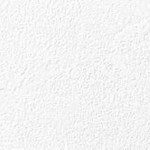 ホワイト 塗り壁調  防かび 抗菌 表面強化 撥水 消臭  サンゲツ RE55245 旧品番RE53652