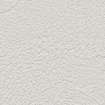 ライトグレー 塗り壁調  防かび 抗菌 表面強化 撥水 消臭  サンゲツ RE55248 旧品番RE53655