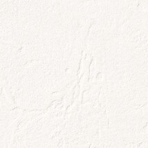 アイボリー 塗り壁調  防かび 抗菌 表面強化 撥水 消臭  サンゲツ RE55249 旧品番RE53658