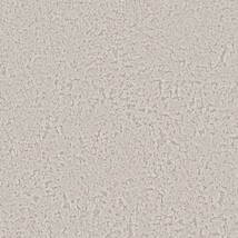 ライトグレー 塗り壁調 ウレタンコート 防かび 抗菌 表面強化 撥水  サンゲツ RE55293 