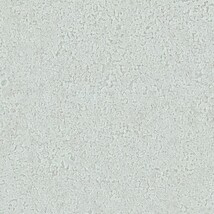 グリーン 塗り壁調 ウレタンコート 防かび 抗菌 表面強化 撥水  サンゲツ RE55296 