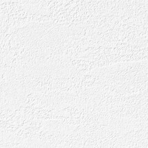ホワイト 塗り壁調 ウレタンコート 防かび 抗菌 表面強化 撥水  サンゲツ RE55315 