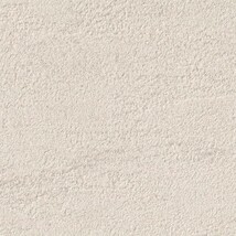 ベージュ 塗り壁調 ウレタンコート 防かび 抗菌 表面強化 撥水  サンゲツ RE55316 旧品番RE53078