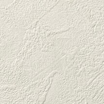 シャドーホワイト 塗り壁調 ウレタンコート 表面強化 防かび  サンゲツ RE55317 