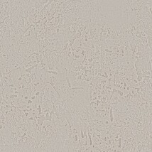 ベージュ 塗り壁調  抗アレルギー 防かび  サンゲツ RE55353 