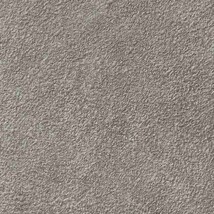 グレー 塗り壁調 スーパー耐久性 汚れ防止 耐久 抗菌 表面強化 防かび  サンゲツ RE55455 旧品番RE53751