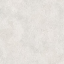 シャドーホワイト 塗り壁調  汚れ防止 抗菌 防かび  サンゲツ RE55500 
